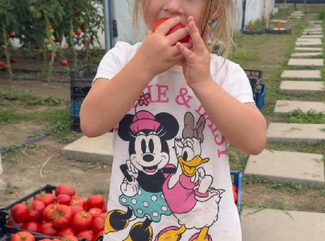 Legume proaspete vândute la hala Casa Share, ale căror venituri susțin proiectele pentru copii și familii.