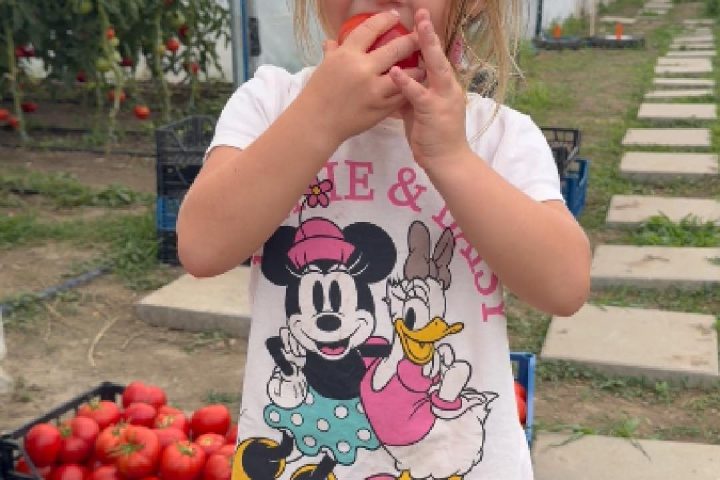 Legume proaspete vândute la hala Casa Share, ale căror venituri susțin proiectele pentru copii și familii.